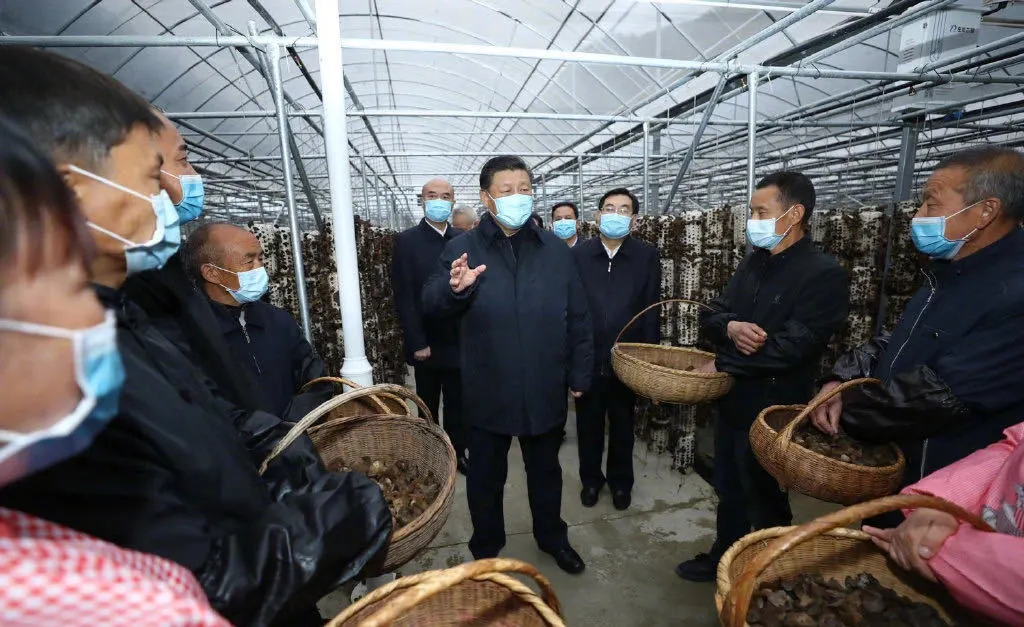 141607930410405095.png 141607930410405095.png