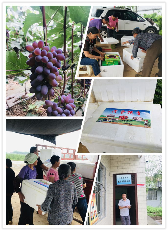 141607930431287242.png 微信圖片_20201214152927.png